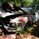 Illustration for article titled Massive Secret Mustang Junkyard Found In Rhode Island Forest